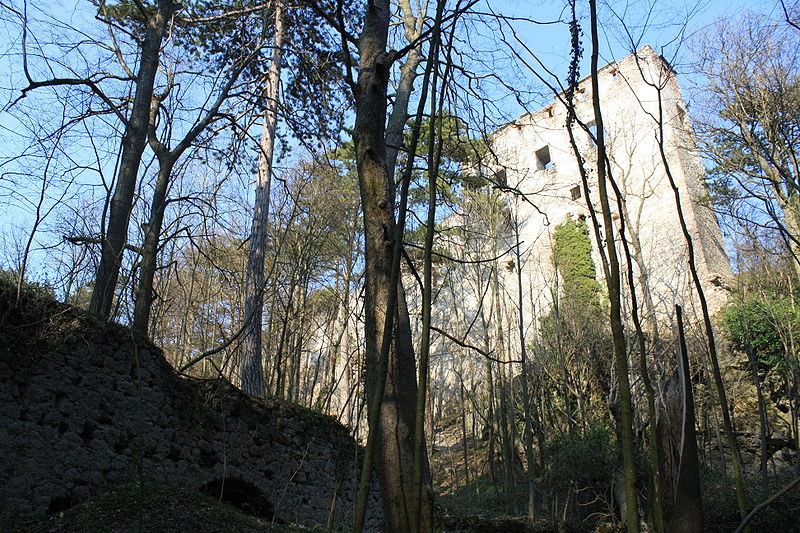 Merkenstein ruins