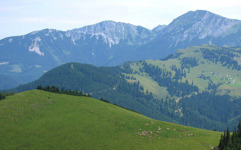 Großer Wildkamm