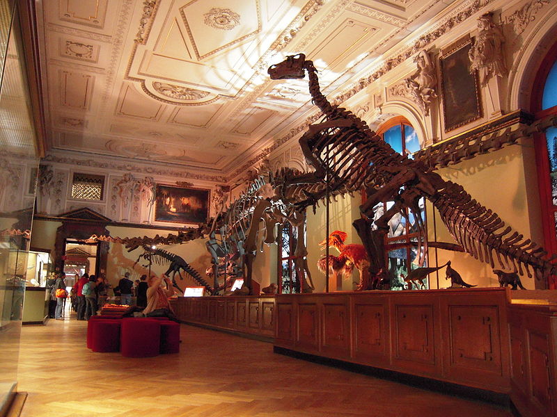 Musée d'histoire naturelle de Vienne