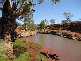 Angas Downs Indigenous Protected Area
