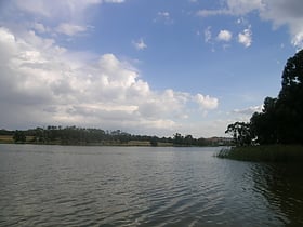 Lake Ginninderra