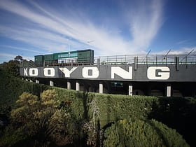 Kooyong Stadium