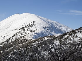Mount Feathertop