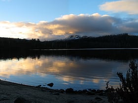 st clair reserva natural de tasmania