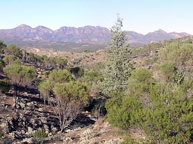 park narodowy gor flindersa