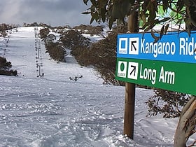 selwyn snowfields kosciuszko nationalpark