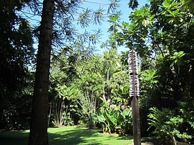 cairns botanic gardens