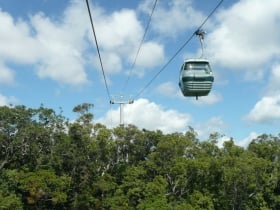 skyrail rainforest cableway cairns