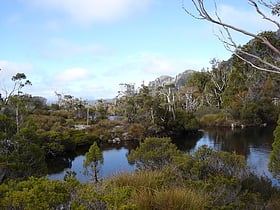 cradle mountain lake st clair nationalpark tasmanische wildnis