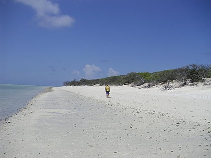 north west island parque nacional cayos capricornia