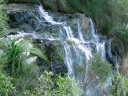 goomoolahra falls park narodowy springbrook