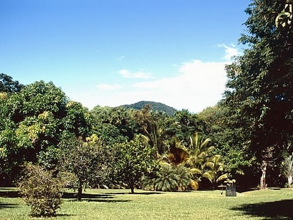 gallop botanic reserve cooktown