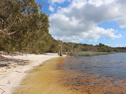 brown lake ile stradbroke nord