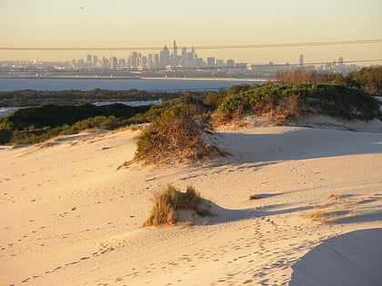 cronulla sand dunes sydney
