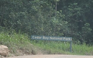 Park Narodowy Cedar Bay