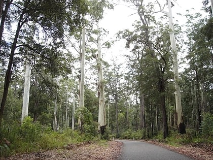 paluma parque nacional montanas paluma