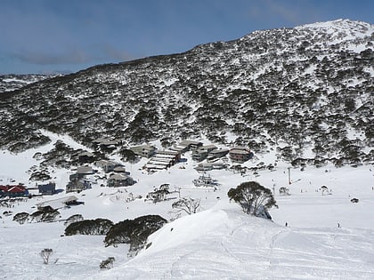 charlotte pass park narodowy kosciuszki