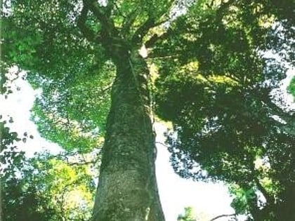 Park Narodowy Tooloom