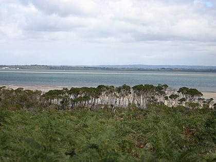 french island mornington peninsula and western port biosphere reserve