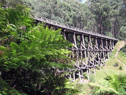 Noojee Trestle Bridge Rail Trail