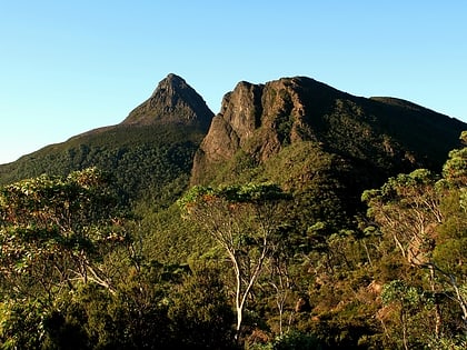 mount gould zone de nature sauvage de tasmanie