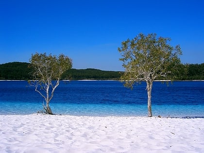 lake mckenzie wielka wyspa piaszczysta