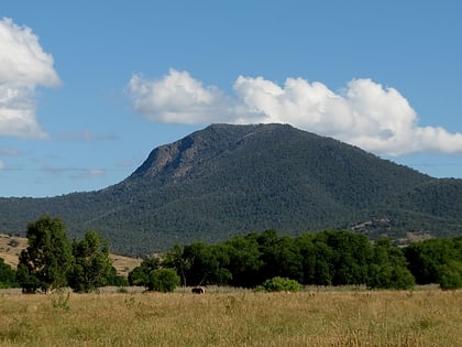 Mount Tambo
