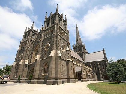 st mary of the angels basilica geelong