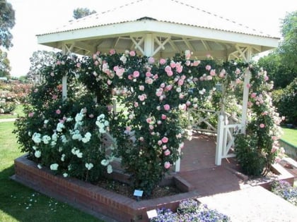 morwell centenary rose garden