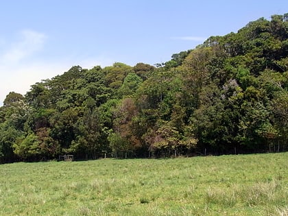 rezerwat przyrody hayters hill