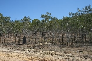 Parque nacional Starcke