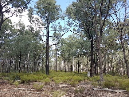 yarrobil national park