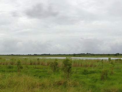 Knuckey Lagoons Conservation Reserve