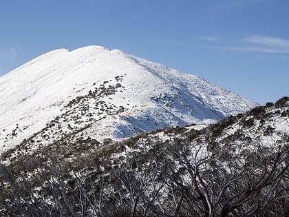 mount feathertop alpine national park