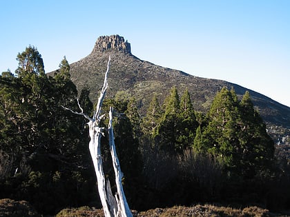 mount pelion east zone de nature sauvage de tasmanie