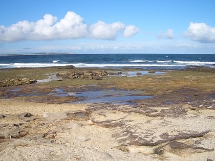 shelly beach sydney