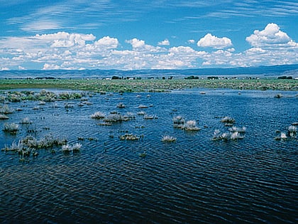 Parc national Yanga