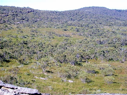 sydney sandstone ridgetop woodland patonga