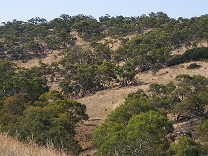 cobbler creek recreation park