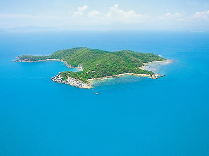 bedarra island
