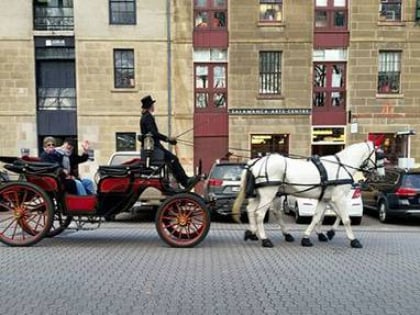 heritage horse drawn carriages hobart