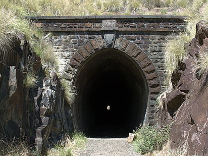 swan view tunnel park narodowy john forrest