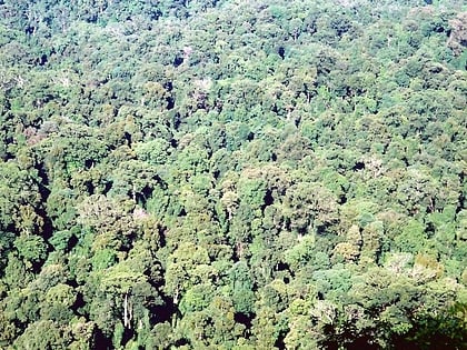 Toonumbar National Park