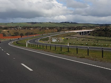 lewis bandt bridge geelong