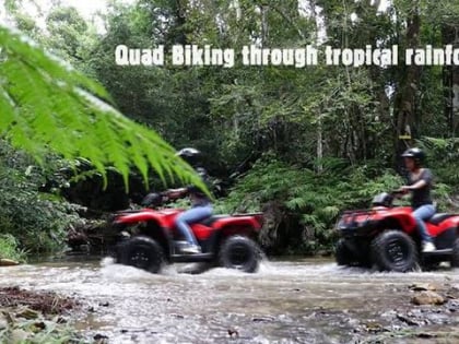 kuranda rainforest journeys