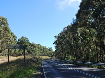 wombat state forest