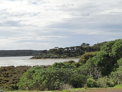 park chroniony pelican lagoon wyspa kangura