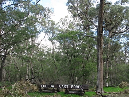 Park Narodowy Tuart Forest