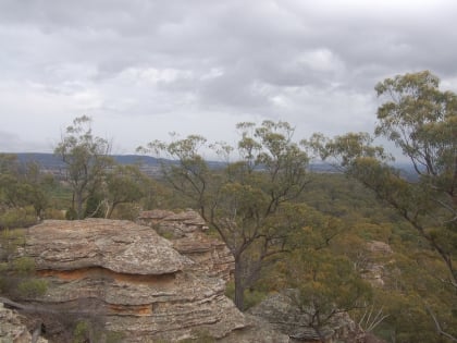 mudgee