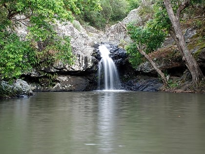 parque nacional kondalilla